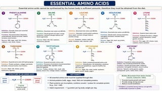 Proteins: Classification, Functions, Sources, Importance & Nutritional Requirements