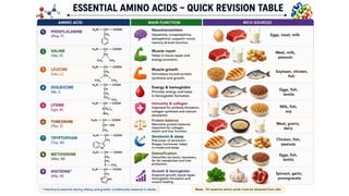 Proteins: Classification, Functions, Sources, Importance & Nutritional Requirements