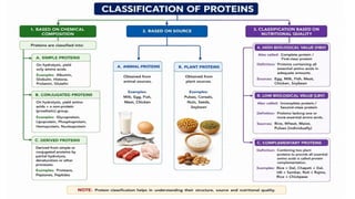Proteins: Classification, Functions, Sources, Importance & Nutritional Requirements