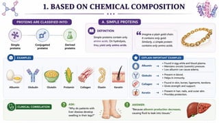 Proteins: Classification, Functions, Sources, Importance & Nutritional Requirements