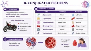 Proteins: Classification, Functions, Sources, Importance & Nutritional Requirements