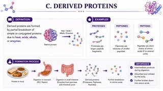 Proteins: Classification, Functions, Sources, Importance & Nutritional Requirements