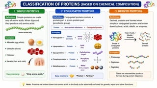 Proteins: Classification, Functions, Sources, Importance & Nutritional Requirements