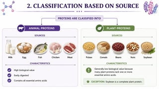 Proteins: Classification, Functions, Sources, Importance & Nutritional Requirements