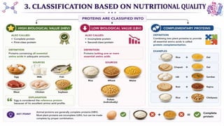 Proteins: Classification, Functions, Sources, Importance & Nutritional Requirements