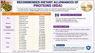 Proteins: Classification, Functions, Sources, Importance & Nutritional Requirements