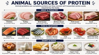 Proteins: Classification, Functions, Sources, Importance & Nutritional Requirements