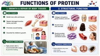 Proteins: Classification, Functions, Sources, Importance & Nutritional Requirements
