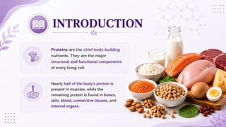 Proteins: Classification, Functions, Sources, Importance & Nutritional Requirements