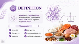 Proteins: Classification, Functions, Sources, Importance & Nutritional Requirements