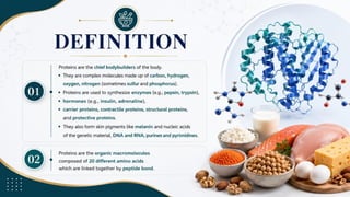 Proteins: Classification, Functions, Sources, Importance & Nutritional Requirements