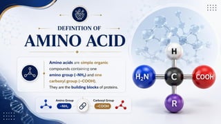Proteins: Classification, Functions, Sources, Importance & Nutritional Requirements