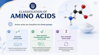 Proteins: Classification, Functions, Sources, Importance & Nutritional Requirements