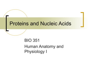 Proteins and Nucleic Acids
BIO 351
Human Anatomy and
Physiology I
 