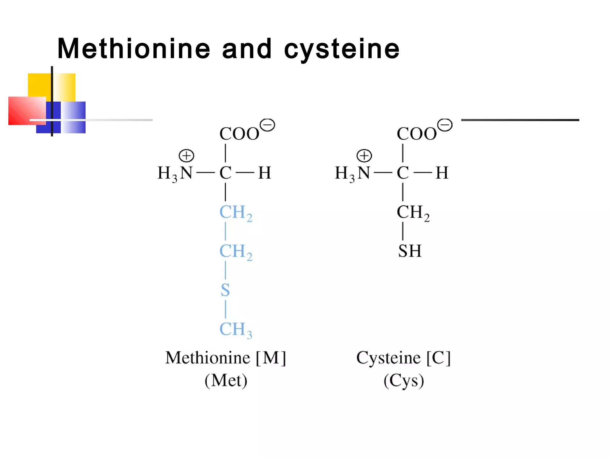 Methionine and cysteine
 