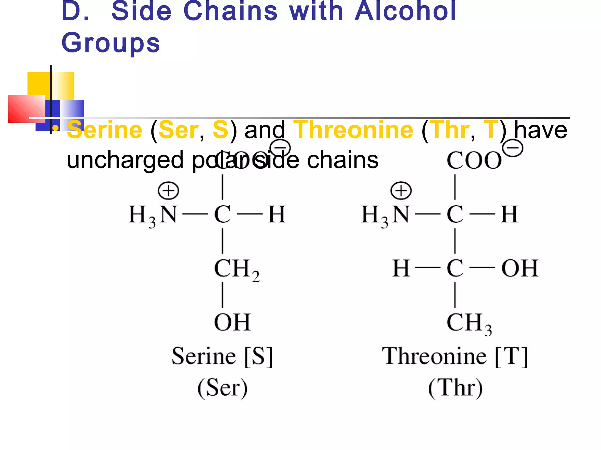 D. Side Chains with Alcohol
Groups
• Serine (Ser, S) and Threonine (Thr, T) have
uncharged polar side chains
 