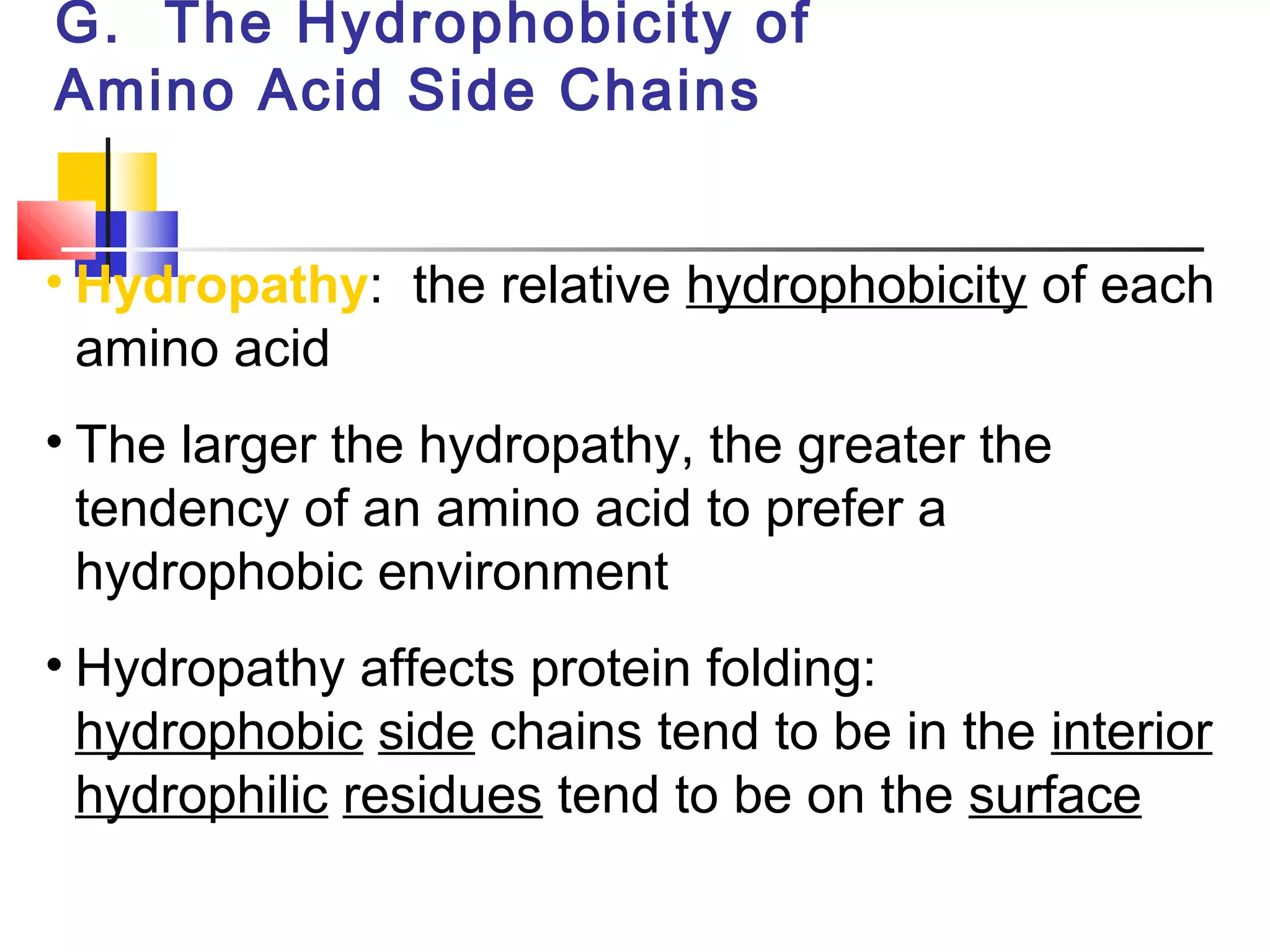 G. The Hydrophobicity of
Amino Acid Side Chains
• Hydropathy: the relative hydrophobicity of each
amino acid
• The larger the hydropathy, the greater the
tendency of an amino acid to prefer a
hydrophobic environment
• Hydropathy affects protein folding:
hydrophobic side chains tend to be in the interior
hydrophilic residues tend to be on the surface
 