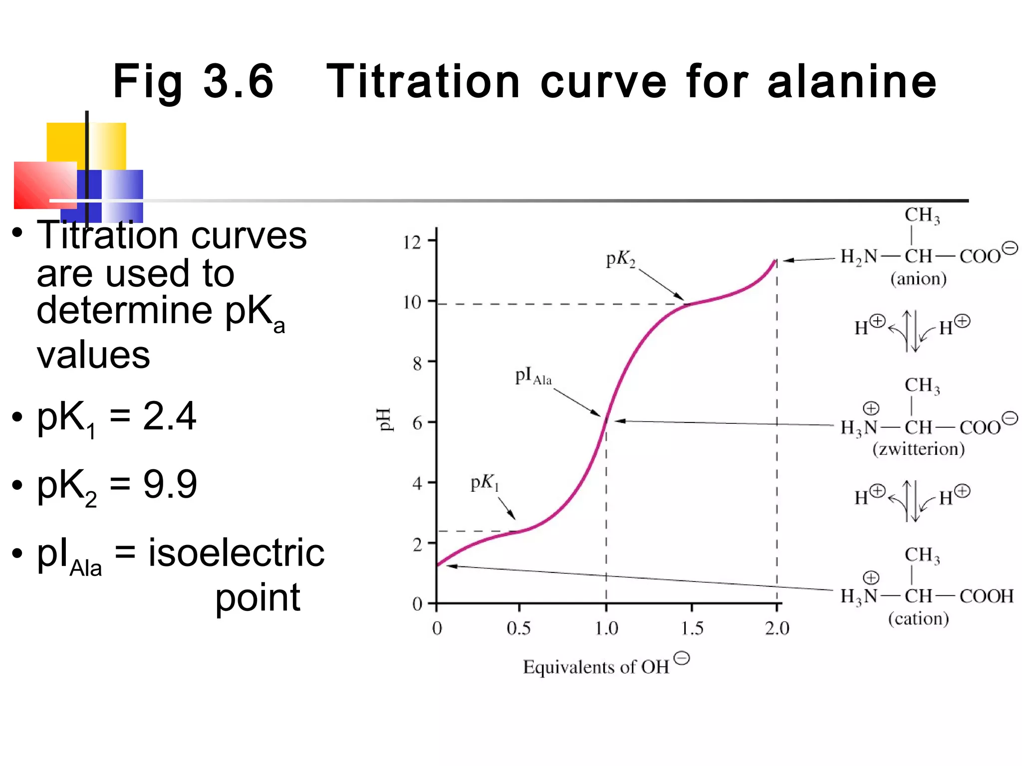 Fig 3.6 Titration curve for alanine
• Titration curves
are used to
determine pKa
values
• pK1 = 2.4
• pK2 = 9.9
• pIAla = isoelectric
point
 