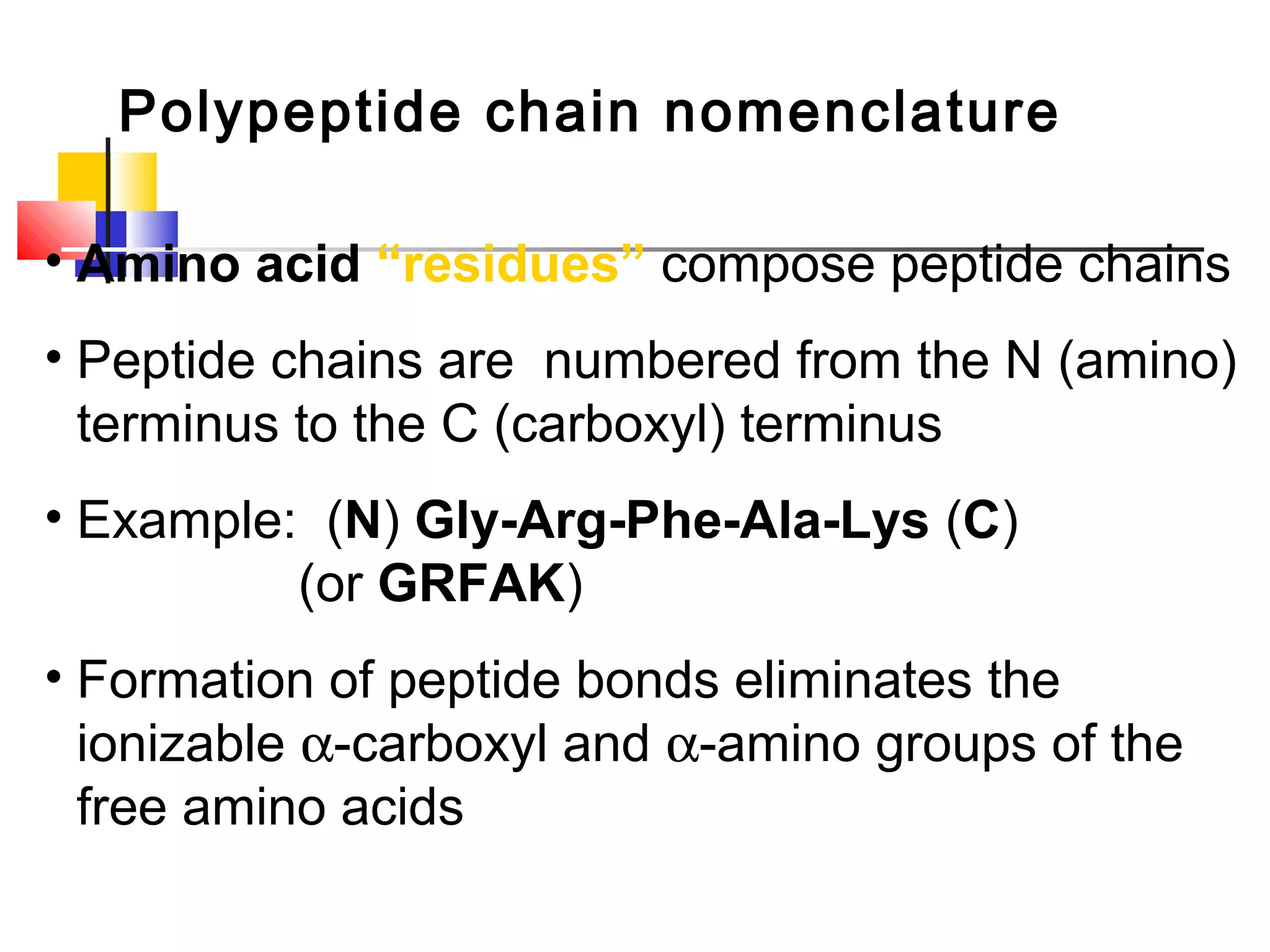 Polypeptide chain nomenclature
• Amino acid “residues” compose peptide chains
• Peptide chains are numbered from the N (amino)
terminus to the C (carboxyl) terminus
• Example: (N) Gly-Arg-Phe-Ala-Lys (C)
(or GRFAK)
• Formation of peptide bonds eliminates the
ionizable α-carboxyl and α-amino groups of the
free amino acids
 