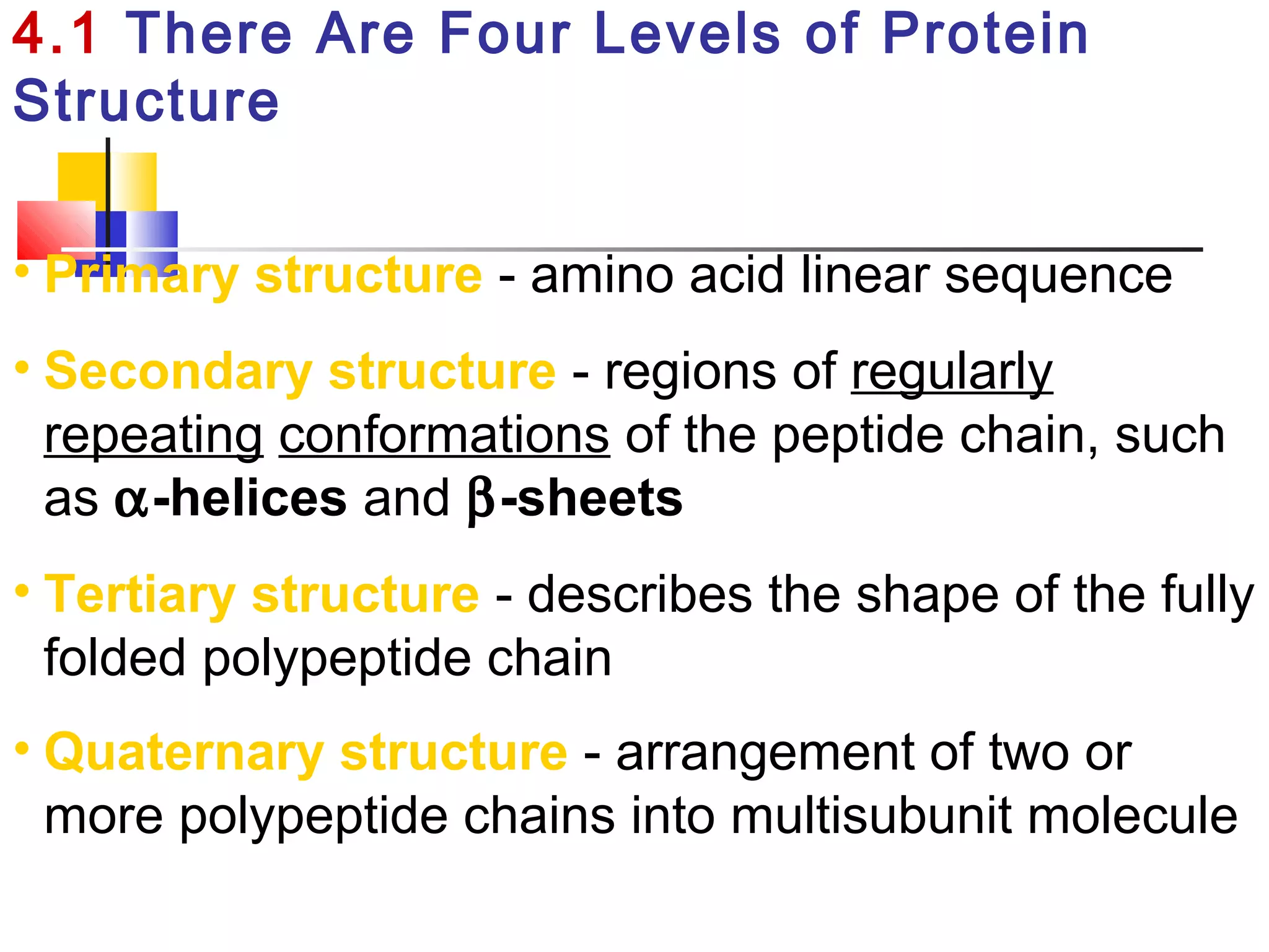 4.1 There Are Four Levels of Protein
Structure
• Primary structure - amino acid linear sequence
• Secondary structure - regions of regularly
repeating conformations of the peptide chain, such
as α-helices and β-sheets
• Tertiary structure - describes the shape of the fully
folded polypeptide chain
• Quaternary structure - arrangement of two or
more polypeptide chains into multisubunit molecule
 