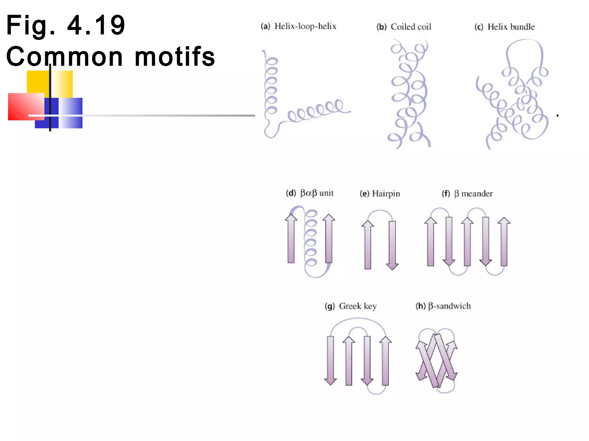Fig. 4.19
Common motifs
 