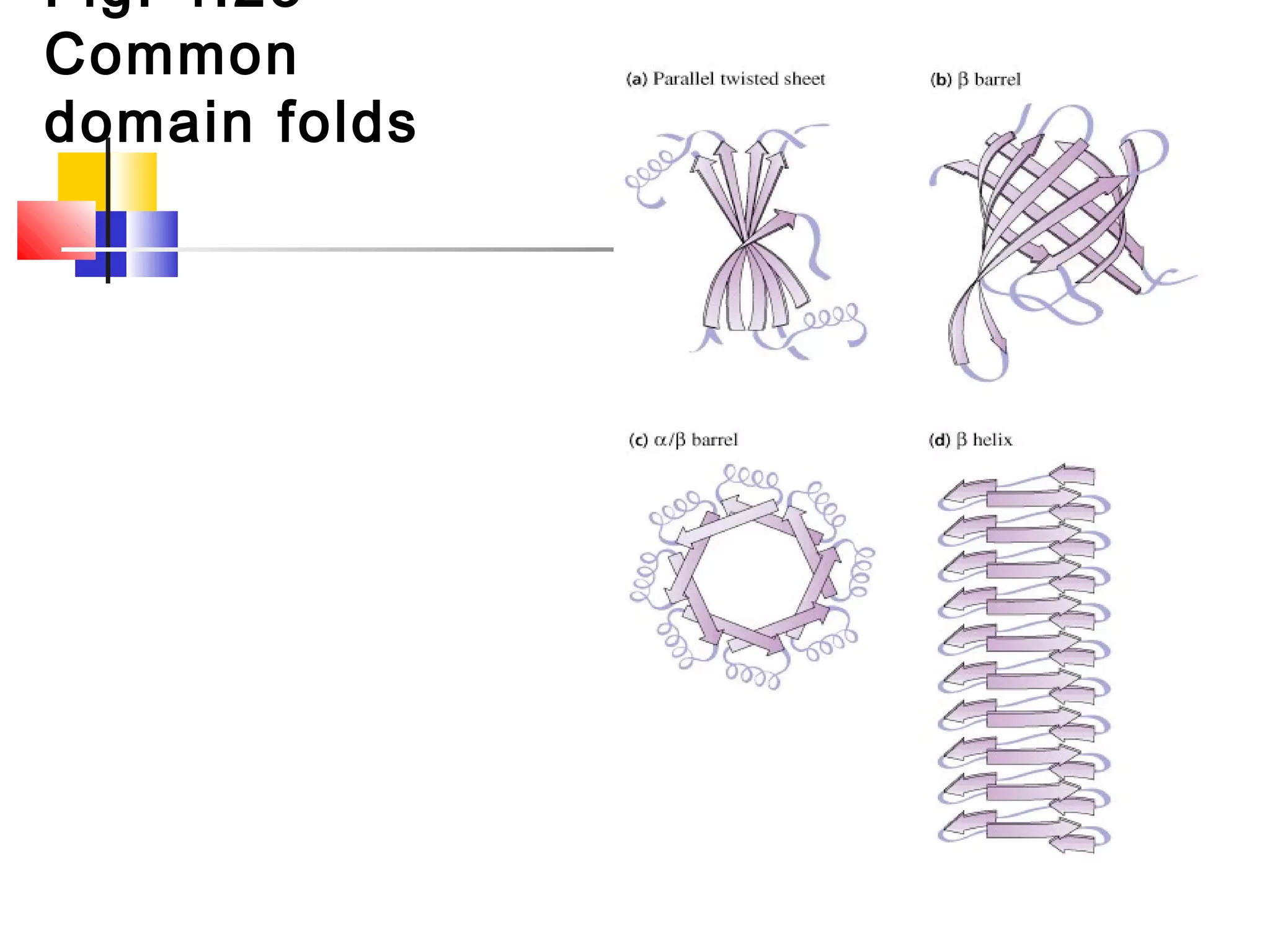 Fig. 4.23
Common
domain folds
 