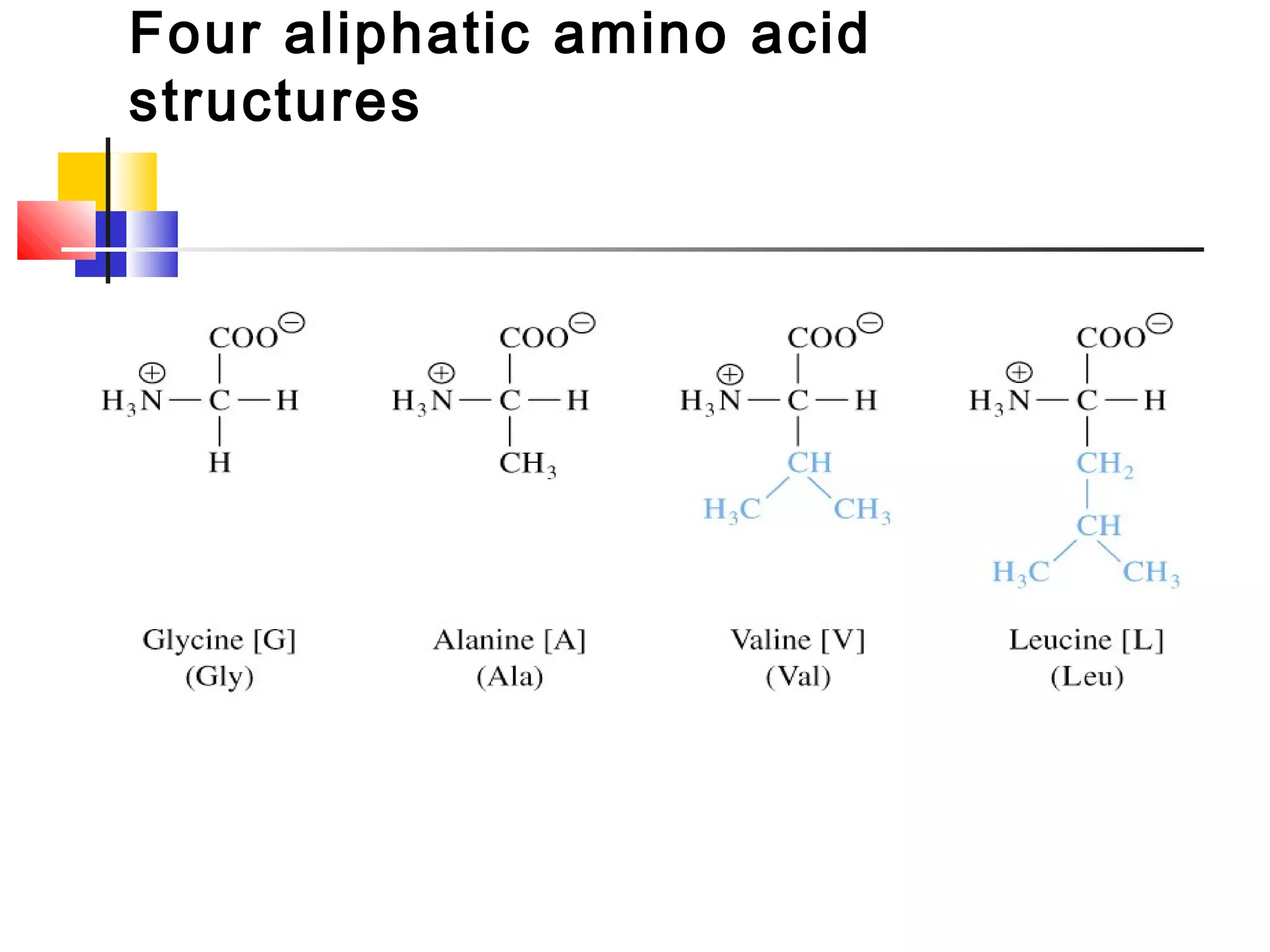 Four aliphatic amino acid
structures
 
