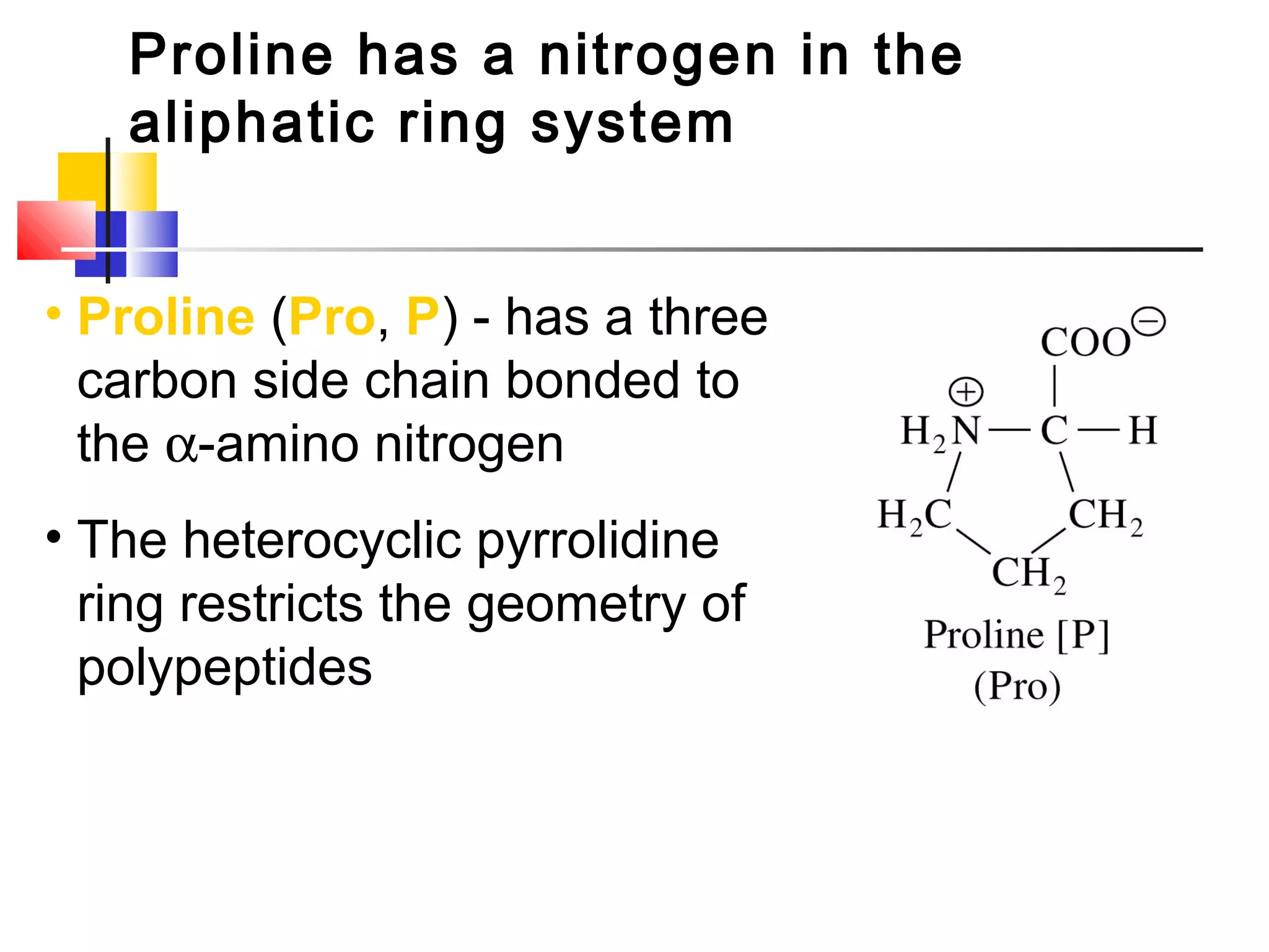 Proline has a nitrogen in the
aliphatic ring system
• Proline (Pro, P) - has a three
carbon side chain bonded to
the α-amino nitrogen
• The heterocyclic pyrrolidine
ring restricts the geometry of
polypeptides
 