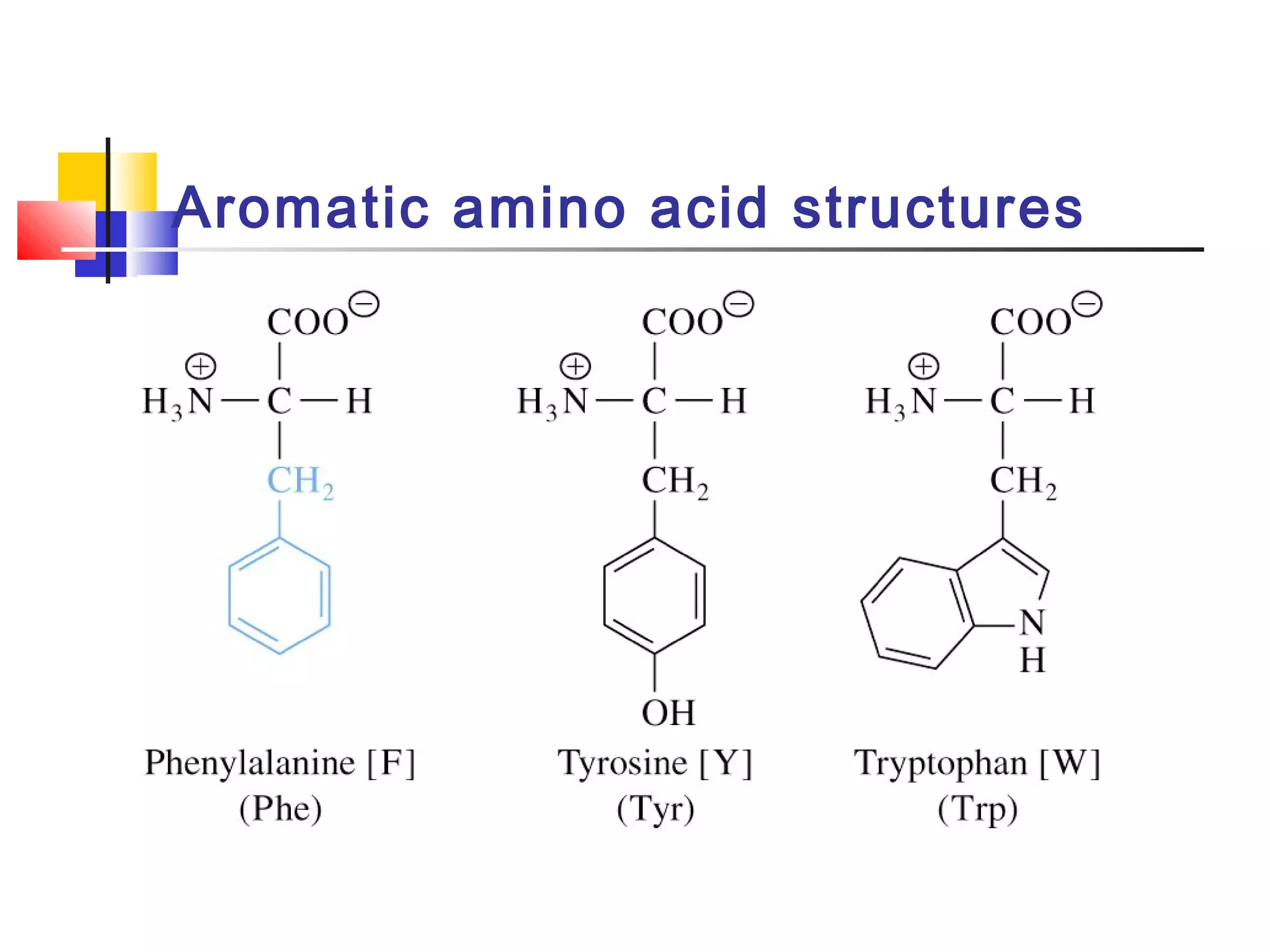 Aromatic amino acid structures
 