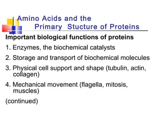 Amino Acids and the
Primary Stucture of Proteins
Important biological functions of proteins
1. Enzymes, the biochemical catalysts
2. Storage and transport of biochemical molecules
3. Physical cell support and shape (tubulin, actin,
collagen)
4. Mechanical movement (flagella, mitosis,
muscles)
(continued)
 