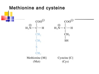 Methionine and cysteine
 