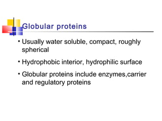 Globular proteins
• Usually water soluble, compact, roughly
spherical
• Hydrophobic interior, hydrophilic surface
• Globular proteins include enzymes,carrier
and regulatory proteins
 