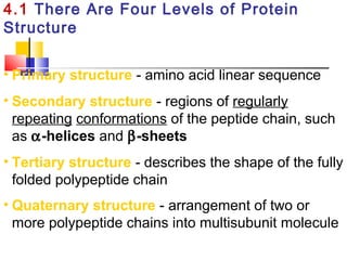 4.1 There Are Four Levels of Protein
Structure
• Primary structure - amino acid linear sequence
• Secondary structure - regions of regularly
repeating conformations of the peptide chain, such
as α-helices and β-sheets
• Tertiary structure - describes the shape of the fully
folded polypeptide chain
• Quaternary structure - arrangement of two or
more polypeptide chains into multisubunit molecule
 