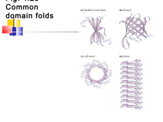 Fig. 4.23
Common
domain folds
 