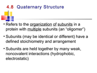 4.8 Quaternary Structure
• Refers to the organization of subunits in a
protein with multiple subunits (an “oligomer”)
• Subunits (may be identical or different) have a
defined stoichiometry and arrangement
• Subunits are held together by many weak,
noncovalent interactions (hydrophobic,
electrostatic)
 
