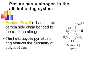 Proline has a nitrogen in the
aliphatic ring system
• Proline (Pro, P) - has a three
carbon side chain bonded to
the α-amino nitrogen
• The heterocyclic pyrrolidine
ring restricts the geometry of
polypeptides
 