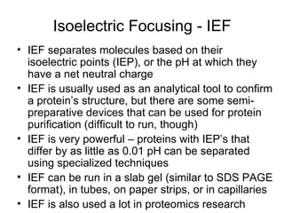 Isoelectric Focusing - IEF IEF separates molecules based on their isoelectric points (IEP), or the pH at which they have a net neutral charge IEF is usually used as an analytical tool to confirm a protein’s structure, but there are some semi-preparative devices that can be used for protein purification (difficult to run, though) IEF is very powerful – proteins with IEP’s that differ by as little as 0.01 pH can be separated using specialized techniques IEF can be run in a slab gel (similar to SDS PAGE format), in tubes, on paper strips, or in capillaries IEF is also used a lot in proteomics research 