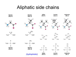 Aliphatic side chains (hydrophobic) 