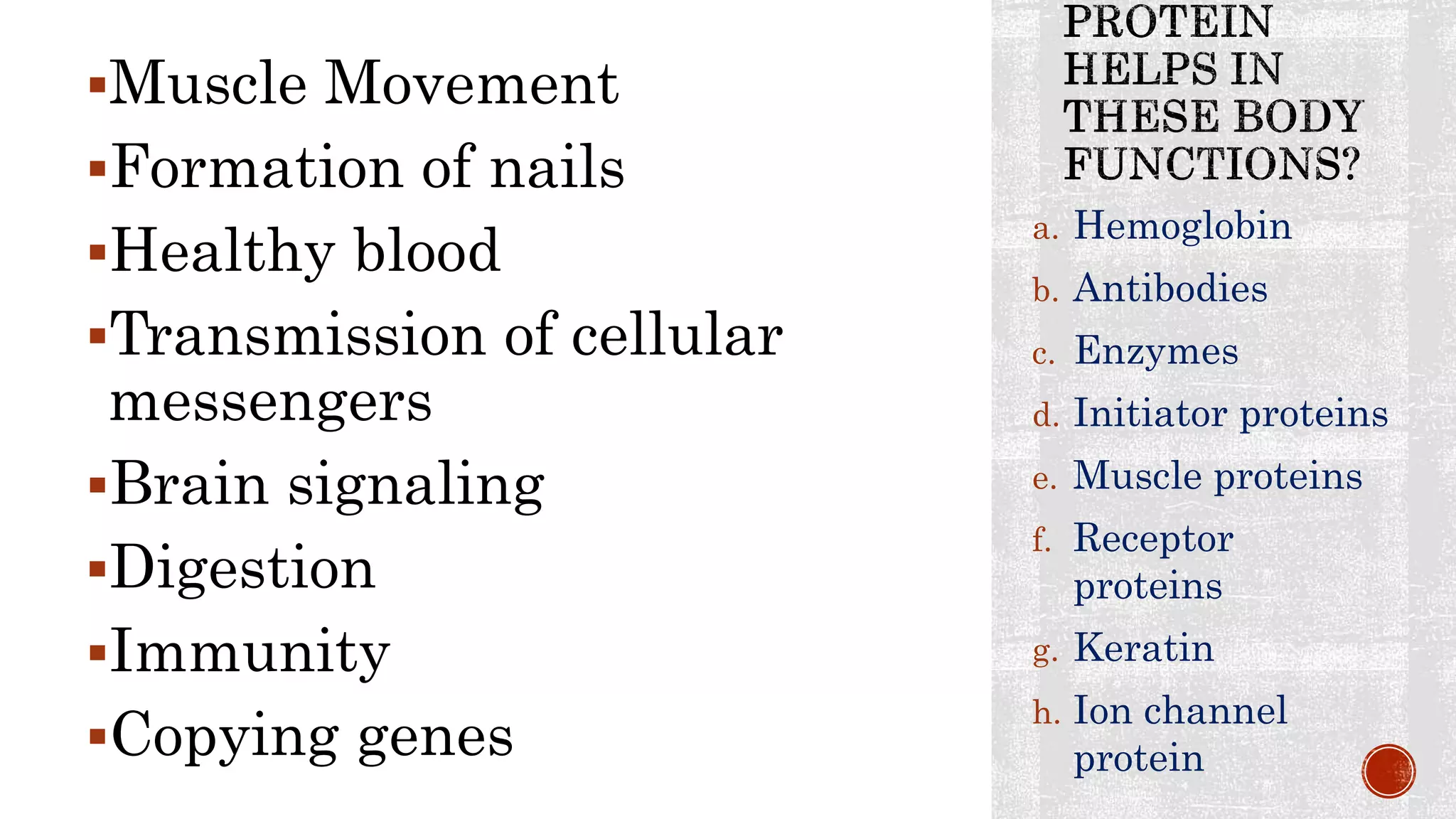 PROTEINS-Functions and Categories.pptx image.