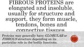 PROTEINS-Functions and Categories.pptx
