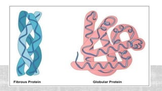 PROTEINS-Functions and Categories.pptx