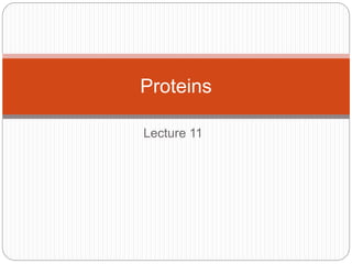 Lecture 11
Proteins
 