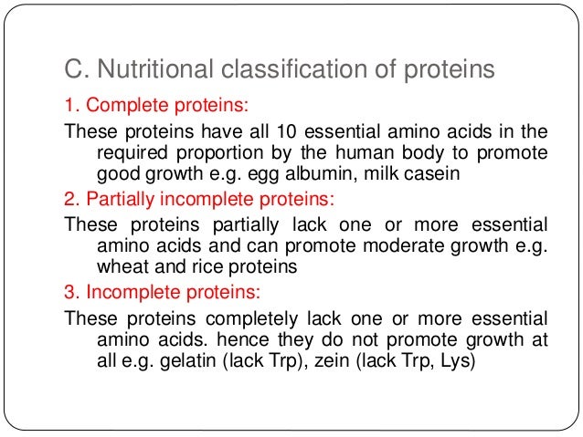 Proteins lecture 13
