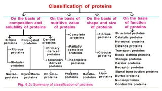 PROTEINS - AN EASY GUIDE FOR THE STUDENTS OF NUTRITION AND DIETETICS | PPTX