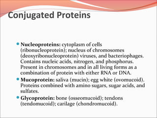 Conjugated Proteins
Nucleoproteins: cytoplasm of cells
(ribonucleoprotein); nucleus of chromosomes
(deoxyribonucleoprotein) viruses, and bacteriophages.
Contains nucleic acids, nitrogen, and phosphorus.
Present in chromosomes and in all living forms as a
combination of protein with either RNA or DNA.
Mucoprotein: saliva (mucin); egg white (ovomucoid).
Proteins combined with amino sugars, sugar acids, and
sulfates.
Glycoprotein: bone (osseomucoid); tendons
(tendomucoid); carilage (chondromucoid).
 