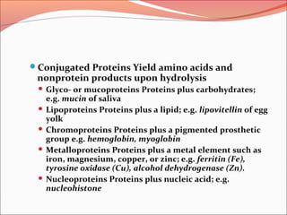 Conjugated Proteins Yield amino acids and
nonprotein products upon hydrolysis
 Glyco- or mucoproteins Proteins plus carbohydrates;
e.g. mucin of saliva
 Lipoproteins Proteins plus a lipid; e.g. lipovitellin of egg
yolk
 Chromoproteins Proteins plus a pigmented prosthetic
group e.g. hemoglobin, myoglobin
 Metalloproteins Proteins plus a metal element such as
iron, magnesium, copper, or zinc; e.g. ferritin (Fe),
tyrosine oxidase (Cu), alcohol dehydrogenase (Zn).
 Nucleoproteins Proteins plus nucleic acid; e.g.
nucleohistone
 