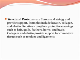 Structural Proteins - are fibrous and stringy and
provide support. Examples include keratin, collagen,
and elastin. Keratins strengthen protective coverings
such as hair, quills, feathers, horns, and beaks.
Collagens and elastin provide support for connective
tissues such as tendons and ligaments.
 