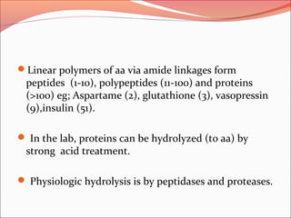 Linear polymers of aa via amide linkages form
peptides (1-10), polypeptides (11-100) and proteins
(>100) eg; Aspartame (2), glutathione (3), vasopressin
(9),insulin (51).
 In the lab, proteins can be hydrolyzed (to aa) by
strong acid treatment.
 Physiologic hydrolysis is by peptidases and proteases.
 