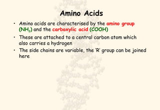Amino Acids <ul><li>Amino acids are characterised by the  amino group   (NH 2 )  and the  carboxylic acid   (COOH) </li></...