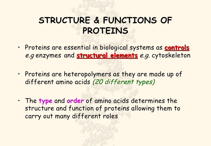 Proteins